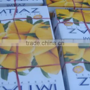 Pakistan Mango Exporter thumbnail-1