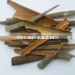 Cassia---Chinese Spice thumbnail-1