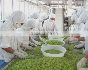 Yantai Kangleda Food Co., Ltd. company overview - view 3 thumbnail