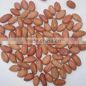 Peanuts and Nuts and Kernels thumbnail-1