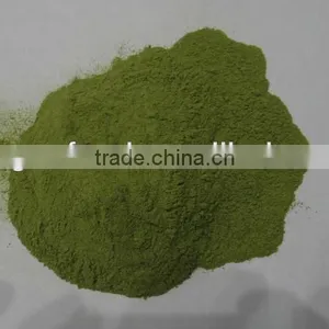 Dried Spinach Powder 2012 thumbnail-1