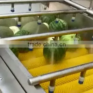Automatic Vegetable and Fruit Apple Orange Washer Spray Washing and Drying Machine thumbnail-2