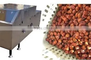 Red Dates Kernel Extractor Machine|Iraq Dates Seed Removing Machine|Red Dates Kernel Pitting Machine thumbnail-1