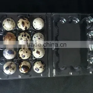 PVC Plastics Plastics Food Containers Egg Packing Box for Quail 12 Eggs Quail Egg Tray thumbnail-1