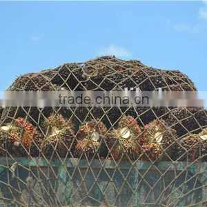 Singapore Wilmar Partner 20TPH Palm Oil Plant thumbnail-4