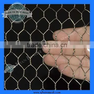 Chicken Netting (Factoryof Guangzhou) thumbnail-1