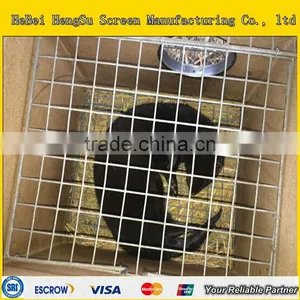 Welded Wire Mesh Mink Cage thumbnail-1