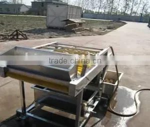 Strawberry Washing Machine thumbnail-1
