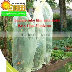 Green Color PE Agricultural Plastic Perforated Film With UV for Protective Tomato Tree thumbnail-4