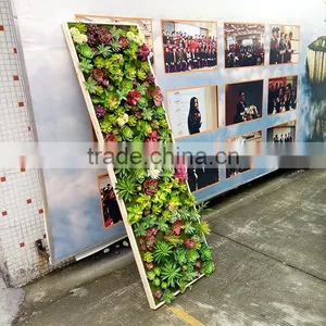 Indoor Decoration Artificial Mini Succulent Plants Wall thumbnail-2