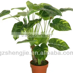 GuangZhou SJ Artificial Plants/artificial Cycas Plants thumbnail-1