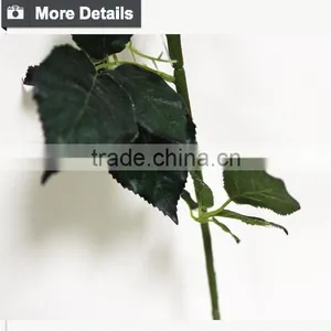 Rainbow Rose Flower Valentine's Gift Rose Flower thumbnail-5