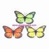 Supply Butterfly Fridge Magnet thumbnail-2