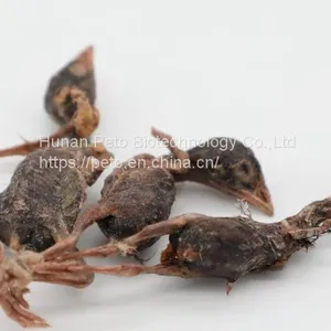 Freeze-dried Quail thumbnail-1
