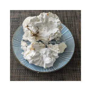 Kaolin Ore Washed Kaolin for Ceramic Paint Coatings thumbnail-1