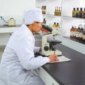 2021 Hot Sale Span 60 Sorbitan Stearate Cas No.:1338-41-6 Emulsifier Span 60 thumbnail-5