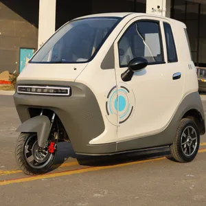 Low Price Guaranteed Quality Modern Design Electric Passenger Tricycle for European Market With EEC thumbnail-4