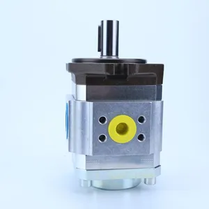 Gear Pump PGI102-3-020-RK23-10-6100 PGI PGI101 PGI102 PGI103 Series Internal Hydraulic Gear Pump PGI101-3-020-RK23-10 thumbnail-4
