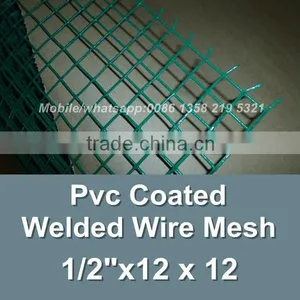 China Facotry Green Color Epoxy Coated Wire Mesh thumbnail-2