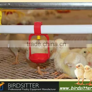Drinking Cups for Chicken thumbnail-1