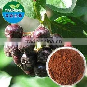 Natural Chokeberry Extract Anthocyanidins thumbnail-1