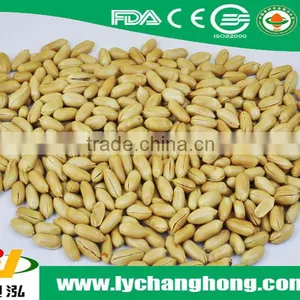 2014 New Crop Peanuts With Shell Raw thumbnail-1