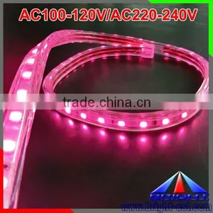 220v LED Strip thumbnail-6