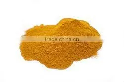 Curcumin 95% thumbnail-1