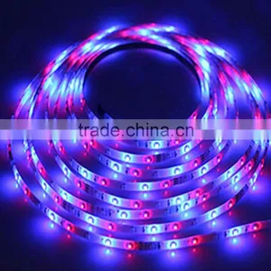 Rgbw Led Strip Rgb Led Trip Light thumbnail-2