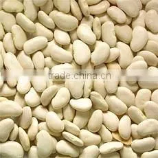 Butter Bean thumbnail-1