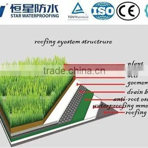 5mm APP Roofing Asphalt Watrproof Membrane thumbnail-3