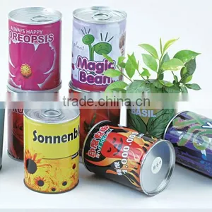 Mini Cans Plant Mini Artificial Plants Decorative Artificial Plants thumbnail-1