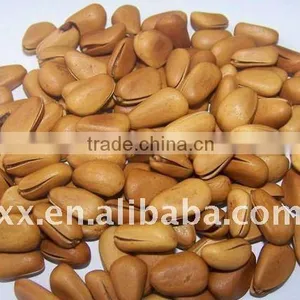 Selling Pine Nuts Cedar Nuts thumbnail-1