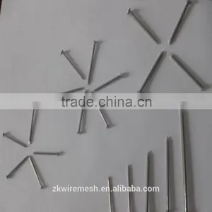 Galvanized Common Nails/Common Wire Nails/Iron Nails thumbnail-6