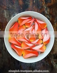 Natural Rose Water in Bulk 100 Litres thumbnail-1