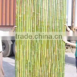 Natural Eco-friendly Bamboo Fencing thumbnail-6