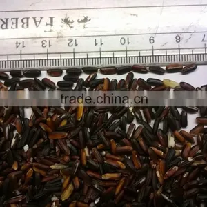 Long Grain Black Rice thumbnail-1