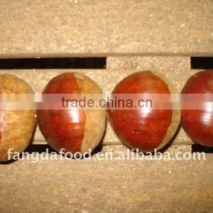 New Crop Chestnut thumbnail-1