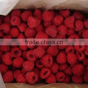 New Crop Iqf Raspberry thumbnail-2