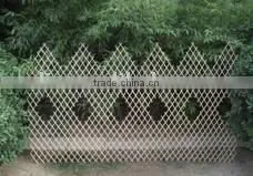 Willow Trellis thumbnail-1