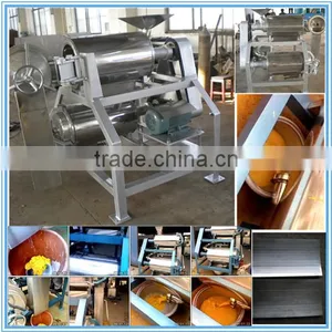 40 Years Factory Price Automatic Mango Pulping Machine thumbnail-3