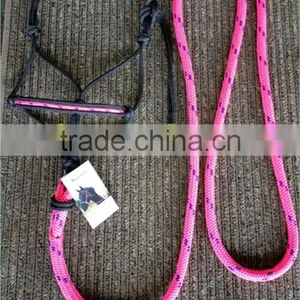 PP Material Horse Halter and Lead Rope thumbnail-2