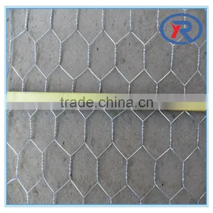 Trade Assurance 1 Inch Galvanized Welded Wire Mesh thumbnail-3