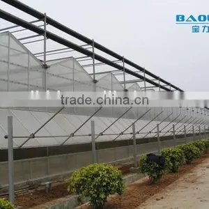 BaoLiDa High Quality PC Covered Greenhouse Hot-dip Galvanized Steel Framework Structure Greenhouse thumbnail-1