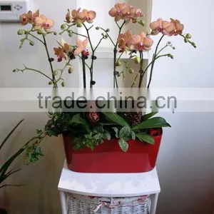 Made in China Self Watering Abs Fiberglass Vase thumbnail-1