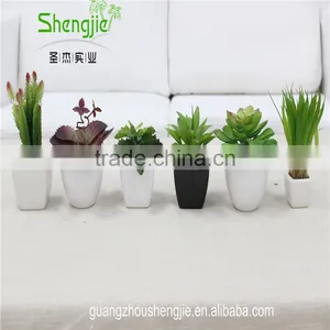 SJLJ013384 Artificial Plant / Fake Plastic Succulent Plant for Office / Restaurant Decoration thumbnail-1