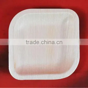 Biodegradable Tableware thumbnail-5