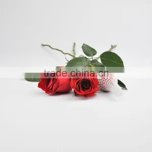 SGS Certificate Flower Bud Protective Sleeve Netting thumbnail-5