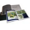 Pamphlets thumbnail-1