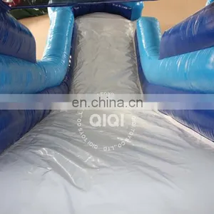 China Double Lane Rental Inflatable Water Slides thumbnail-5
